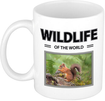 Bellatio Decorations Eekhoorn mok met dieren foto wildlife of the world
