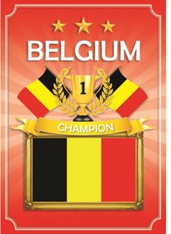 Bellatio Decorations Feestje Belgium posters rood