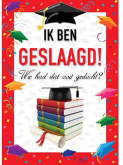 Bellatio Decorations Feestje ik ben geslaagd posters