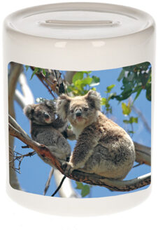 Bellatio Decorations Foto koala beer spaarpot 9 cm - Cadeau koalaberen liefhebber - Spaarpotten Multikleur