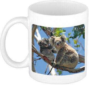 Bellatio Decorations Foto mok koala beer mok / beker 300 ml - Cadeau koalaberen liefhebber - feest mokken Wit