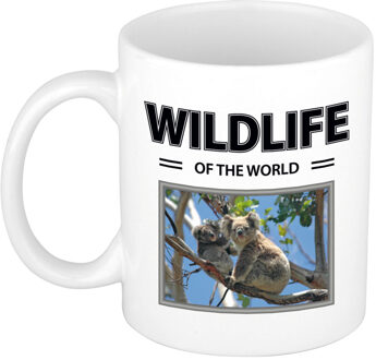 Bellatio Decorations Foto mok Koala mok / beker - wildlife of the world cadeau Koala's liefhebber - feest mokken Wit