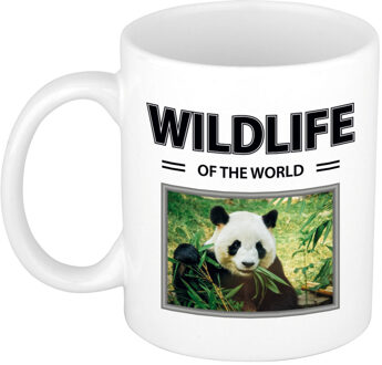 Bellatio Decorations Foto mok Panda mok / beker - wildlife of the world cadeau Pandas liefhebber - feest mokken Wit