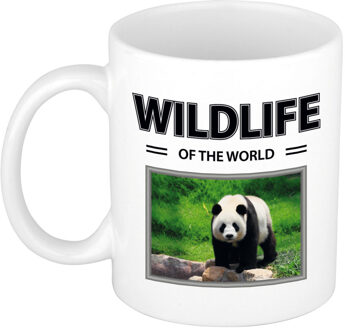 Bellatio Decorations Foto mok Panda mok / beker - wildlife of the world cadeau Pandas liefhebber - feest mokken Wit