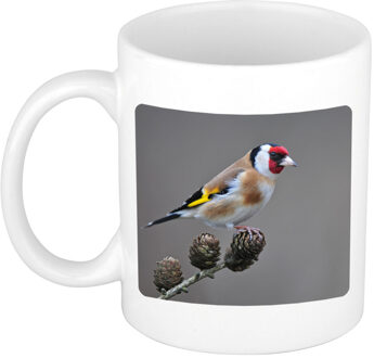 Bellatio Decorations Foto mok putter vogel mok / beker 300 ml - Cadeau vogels liefhebber - feest mokken Wit