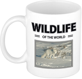 Bellatio Decorations Foto mok Sneeuwvos mok / beker - wildlife of the world cadeau Sneeuwvossen liefhebber - feest mokken Wit