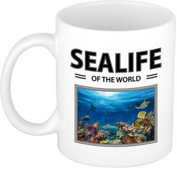 Bellatio Decorations Foto mok Vis beker - sealife of the world cadeau Vissen liefhebber - feest mokken Wit