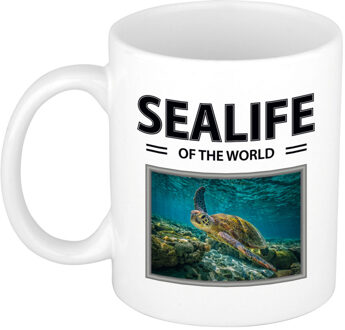 Bellatio Decorations Foto mok Zeeschildpad beker - sealife of the world cadeau Schildpadden liefhebber - feest mokken Wit