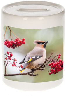 Bellatio Decorations Foto pestvogel spaarpot 9 cm - Cadeau vogels liefhebber - Spaarpotten Multikleur