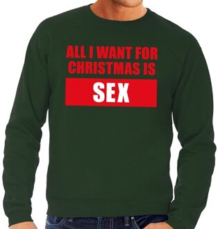 Bellatio Decorations Foute kersttrui / sweater All I Want For Christmas Is Sex groen voor heren - Kersttruien 2XL (56)