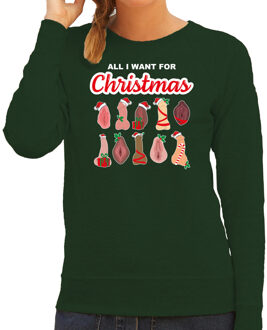 Bellatio Decorations Foute kersttrui/sweater dames - All I want for Christmas - piemel/vagina - groen M