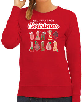 Bellatio Decorations Foute kersttrui/sweater dames - All I want for Christmas - piemel/vagina - rood 2XL