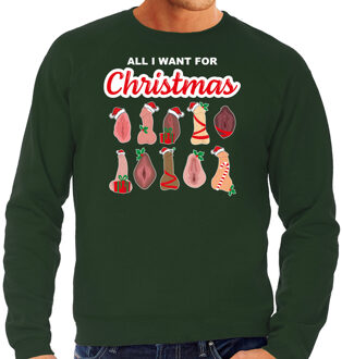 Bellatio Decorations Foute kersttrui/sweater heren - All I want for Christmas - piemel/vagina - groen S