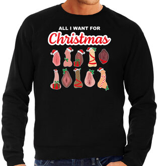 Bellatio Decorations Foute kersttrui/sweater heren - All I want for Christmas - piemel/vagina - zwart L