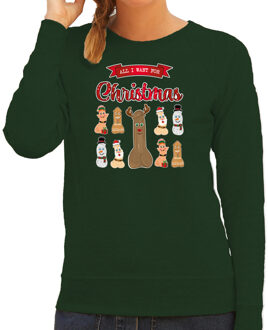 Bellatio Decorations Foute Kersttrui/sweater voor dames - All I want for Christmas - groen - piemel/penis L