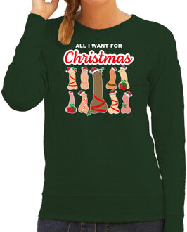 Bellatio Decorations foute kersttrui/sweater voor dames - All I want for Christmas - piemels - groen XS