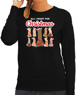 Bellatio Decorations foute kersttrui/sweater voor dames - All I want for Christmas - piemels - zwart XS