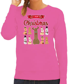 Bellatio Decorations Foute Kersttrui/sweater voor dames - All I want for Christmas - roze - piemel/penis 2XL