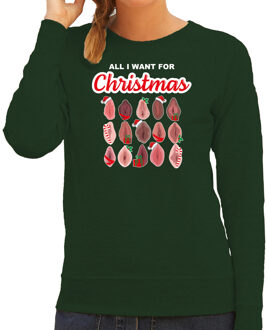 Bellatio Decorations Foute kersttrui/sweater voor dames - All I want for Christmas - vagina - groen XS