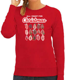 Bellatio Decorations Foute kersttrui/sweater voor dames - All I want for Christmas - vagina - rood