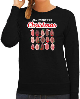 Bellatio Decorations Foute kersttrui/sweater voor dames - All I want for Christmas - vagina - zwart 2XL