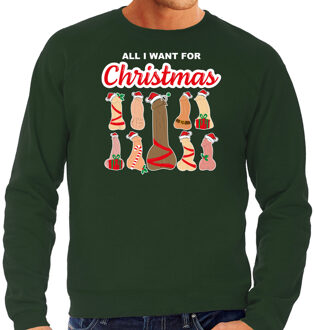 Bellatio Decorations foute kersttrui/sweater voor heren - All I want for Christmas - piemels - groen 2XL