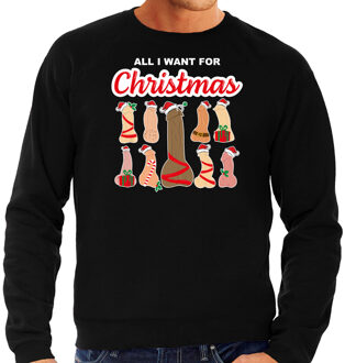 Bellatio Decorations foute kersttrui/sweater voor heren - All I want for Christmas - piemels - zwart 2XL