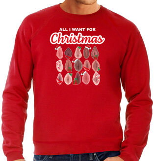 Bellatio Decorations Foute kersttrui/sweater voor heren - All I want for Christmas - vagina - rood S