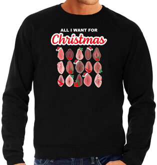 Bellatio Decorations Foute kersttrui/sweater voor heren - All I want for Christmas - vagina - zwart L