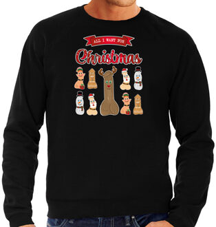 Bellatio Decorations Foute Kersttrui/sweater voor heren - All I want for Christmas - zwart - piemel/penis XL