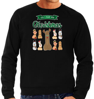 Bellatio Decorations Foute Kersttrui/sweater voor heren - All I want for Christmas - zwart - piemel/penis