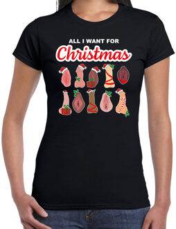 Bellatio Decorations Foute kersttrui/t-shirt dames - All I want for Christmas - piemel/vagina - zwart S