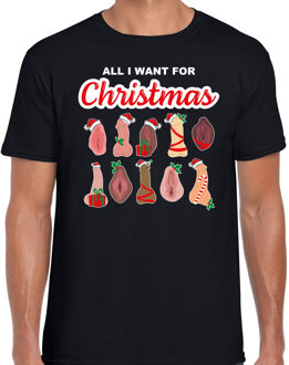 Bellatio Decorations Foute kersttrui/t-shirt heren - All I want for Christmas - piemel/vagina - zwart XL