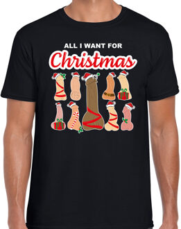 Bellatio Decorations Foute kersttrui/t-shirt voor heren - All I want for Christmas - piemels - zwart XL