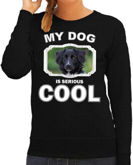 Bellatio Decorations Friese stabij honden trui / sweater my dog is serious cool zwart - dames - Friese stabijs liefhebber cadeau sweaters 2XL