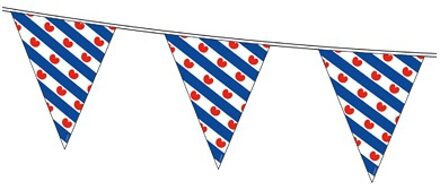 Bellatio Decorations Friese vlag vlaggenlijn van 10 meter - Vlaggenlijnen Multikleur