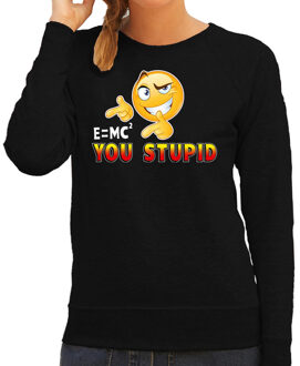 Bellatio Decorations Funny emoticon sweater E is mc2 you stupid zwart dames 2XL