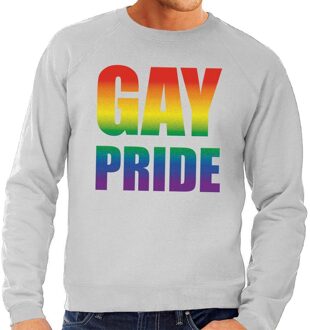 Bellatio Decorations Gay pride regenboog sweater grijs voor heren 2XL