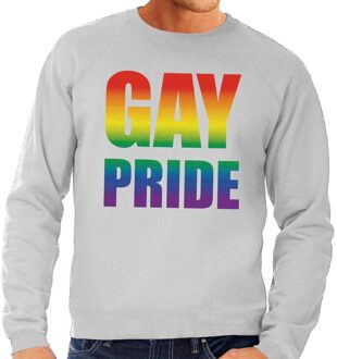 Bellatio Decorations Gay pride regenboog sweater grijs voor heren