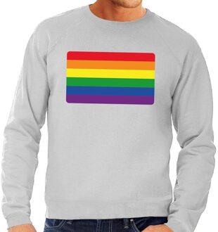 Bellatio Decorations Gay pride regenboog vlag sweater grijs voor heren 2XL