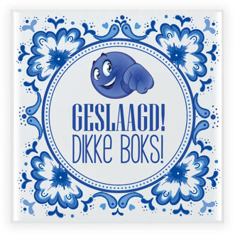 Bellatio Decorations Geslaagd cadeau tegel - geslaagd! dikke boks! - delfts blauw - keramiek - 15 x 15 cm