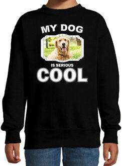 Bellatio Decorations Golden retriever honden trui / sweater my dog is serious cool zwart - kinderen - Golden retrievers liefhebber cadeau sweaters 12-13 jaar (152/164)