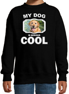 Bellatio Decorations Golden retriever honden trui / sweater my dog is serious cool zwart - kinderen - Golden retrievers liefhebber cadeau sweaters 12-13 jaar (152/164)