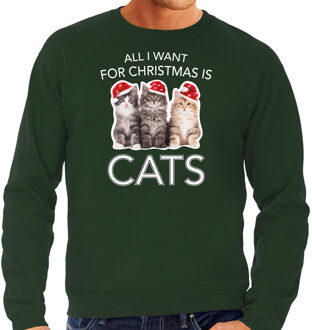 Bellatio Decorations Groene Kersttrui / Kerstkleding All I want for christmas is cats voor heren 2XL - kerst truien