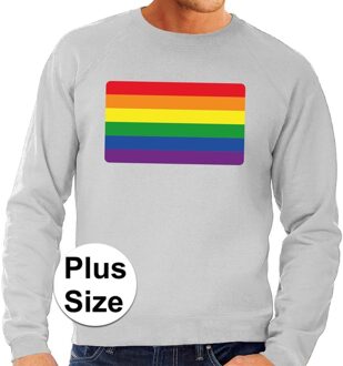 Bellatio Decorations Grote maten  regenboog vlag sweater grijs voor heren 3XL