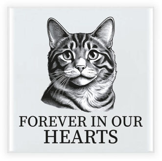 Bellatio Decorations Herdenking cadeau tegel kattenliefhebber - American Curl kat/poes - zwart/wit - keramiek - 15 cm