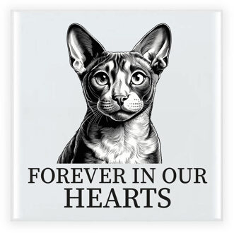 Bellatio Decorations Herdenking cadeau tegel kattenliefhebber - Cornish Rex kat/poes - zwart/wit - keramiek - 15 cm