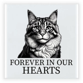 Bellatio Decorations Herdenking cadeau tegel kattenliefhebber - Maine Coon kat/poes - zwart/wit - keramiek - 15 cm