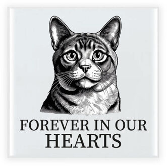 Bellatio Decorations Herdenking cadeau tegel kattenliefhebber - Munchkin kat/poes - zwart/wit - keramiek - 15 cm