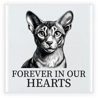 Bellatio Decorations Herdenking cadeau tegel kattenliefhebber - Oosterse Korthaar kat/poes - zwart/wit - keramiek - 15 cm